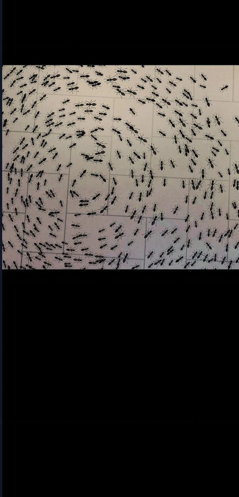 Hand Jumper Chap 103 - Next Chap 104