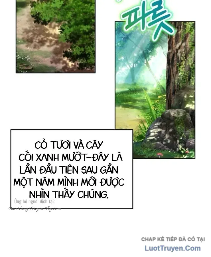 Hành Trình Vác Gậy Chạy Bốn Phương Tám Hướng Chap 11 - Next Chap 12