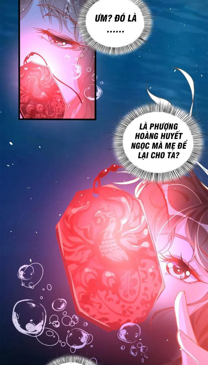 Hào môn quật khởi - trùng sinh vườn trường thương nữ Chap 1 - Next Chap 2