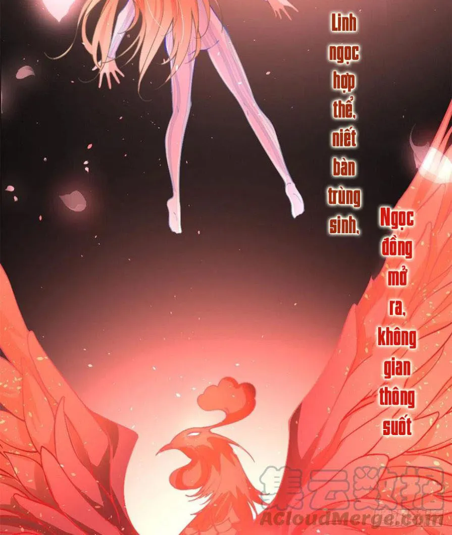 Hào môn quật khởi - trùng sinh vườn trường thương nữ Chap 1 - Next Chap 2