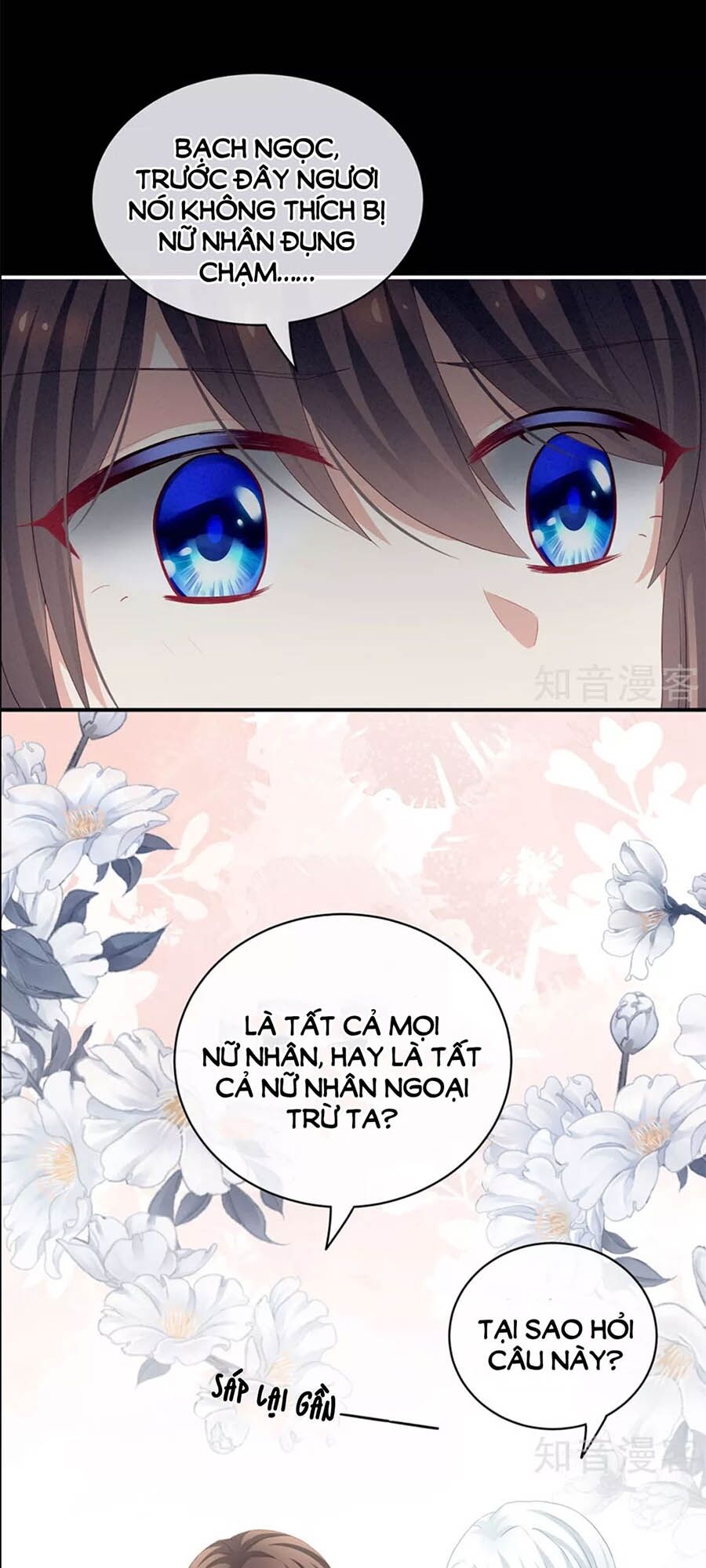 Hậu Cung Của Nữ Đế Chap 120 - Next Chap 121