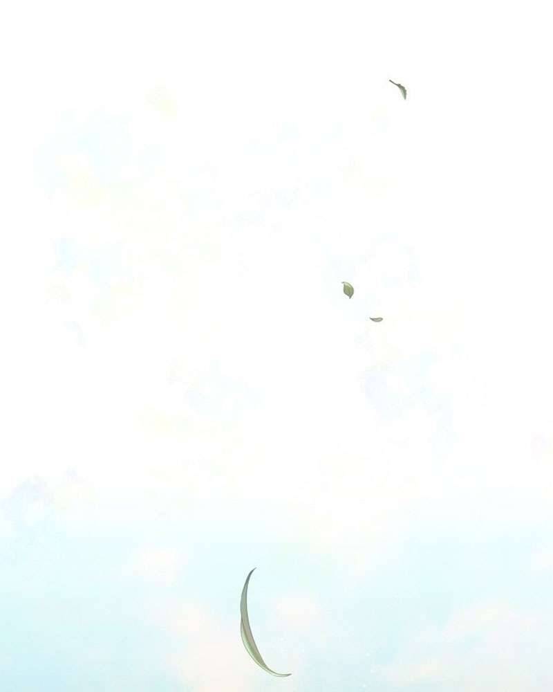 Hầu Nữ Bí Mật Của Bá Tước Chap 1 - Next Chap 2