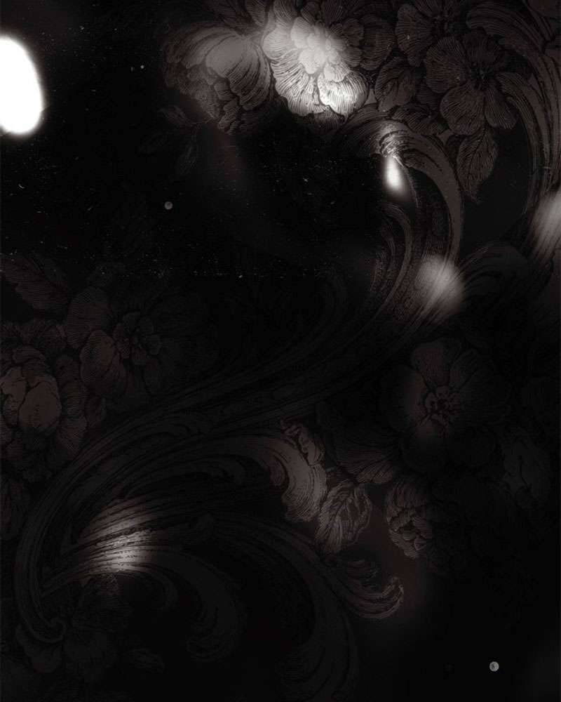 Hầu Nữ Bí Mật Của Bá Tước Chap 1 - Next Chap 2