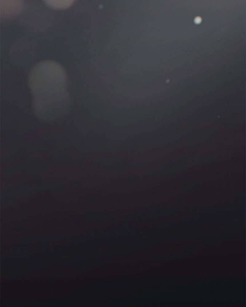 Hầu Nữ Bí Mật Của Bá Tước Chap 1 - Next Chap 2