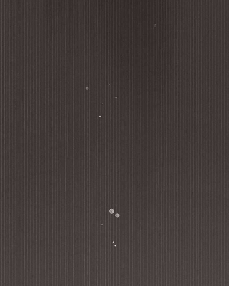 Hầu Nữ Bí Mật Của Bá Tước Chap 1 - Next Chap 2