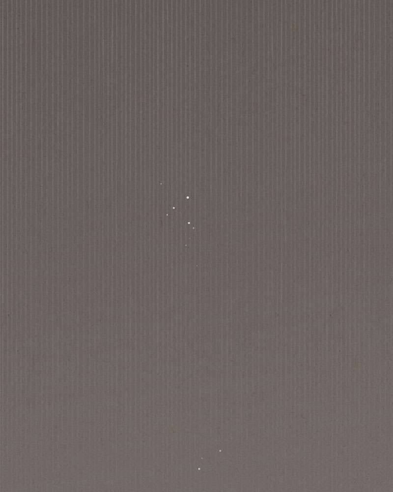 Hầu Nữ Bí Mật Của Bá Tước Chap 1 - Next Chap 2