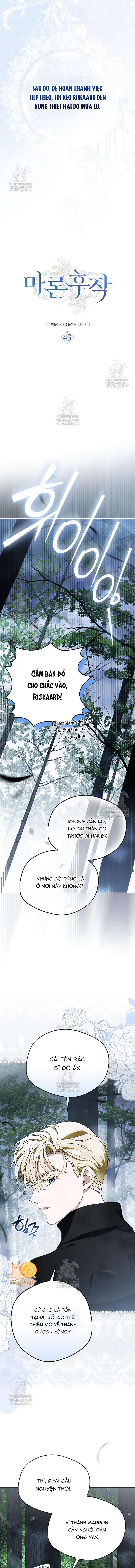 Hầu Tước Marron Chap 43 - Next Chap 44