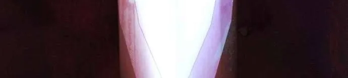 Hãy Dạy Em Cách Khao Khát Chap 1 - Next Chap 2