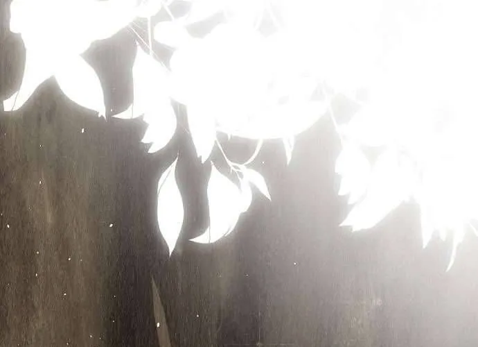 Hãy Dạy Em Cách Khao Khát Chap 15 - Next Chap 16