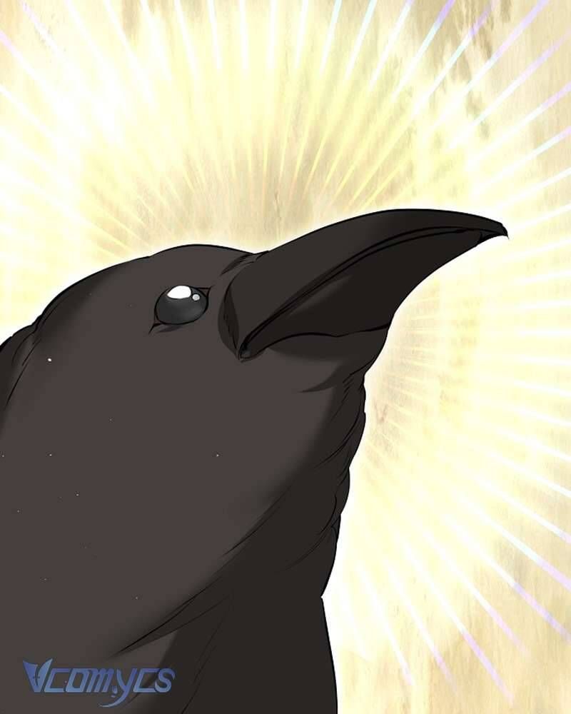 Hãy Dạy Em Cách Khao Khát Chap 16 - Next Chap 17