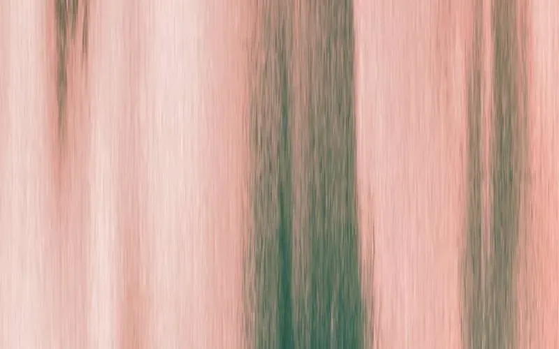 Hãy Dạy Em Cách Khao Khát Chap 21 - Next Chap 22