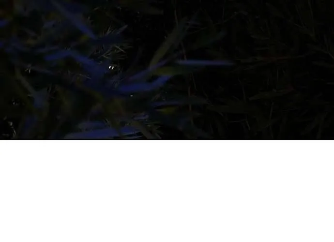 Hãy Dạy Em Cách Khao Khát Chap 6 - Next Chap 7