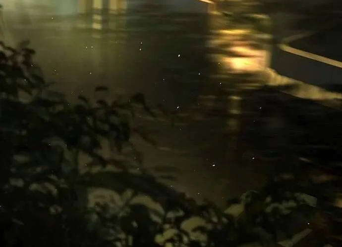 Hãy Dạy Em Cách Khao Khát Chap 7 - Next Chap 8