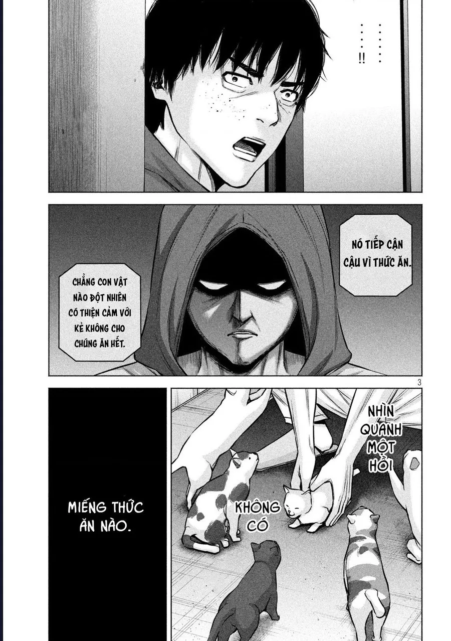 Hãy Gửi Lời Chào Của Tôi Tới Kenshiro Chap 65 - Next Chap 66