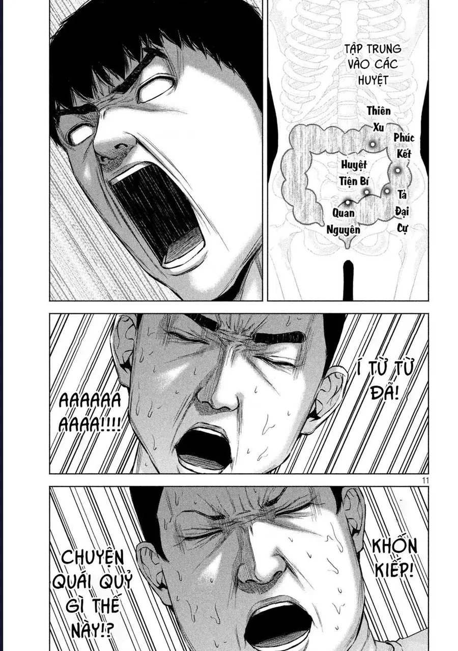 Hãy Gửi Lời Chào Của Tôi Tới Kenshiro Chap 67 - Next Chap 68