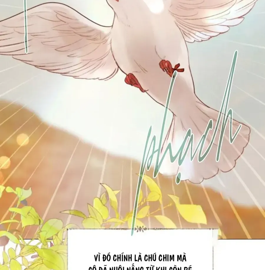 Hãy Khóc Và Cầu Nguyện Đi Chap 61 - Next Chap 62