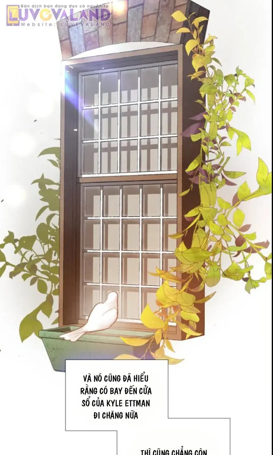 Hãy Khóc Và Cầu Nguyện Đi Chap 62 - Next Chap 63