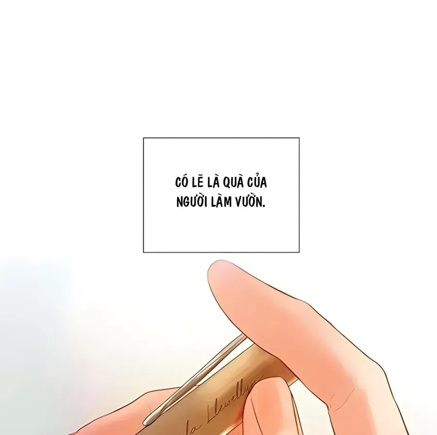 Hãy Khóc Và Cầu Nguyện Đi Chap 64 - Next Chap 65