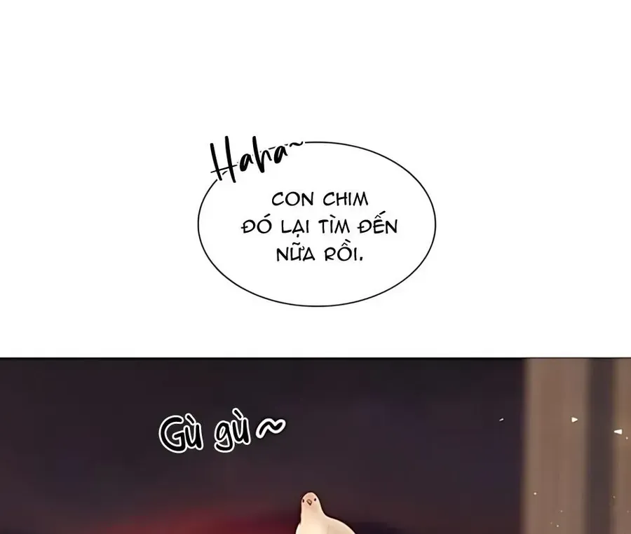 Hãy Khóc Và Cầu Nguyện Đi Chap 64 - Next Chap 65