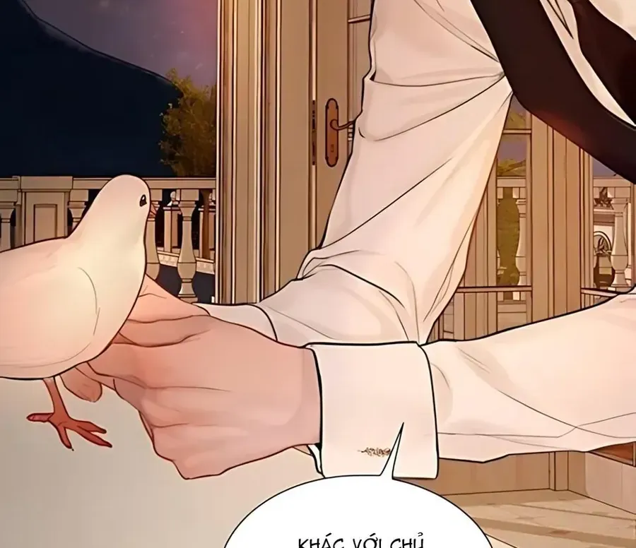 Hãy Khóc Và Cầu Nguyện Đi Chap 64 - Next Chap 65
