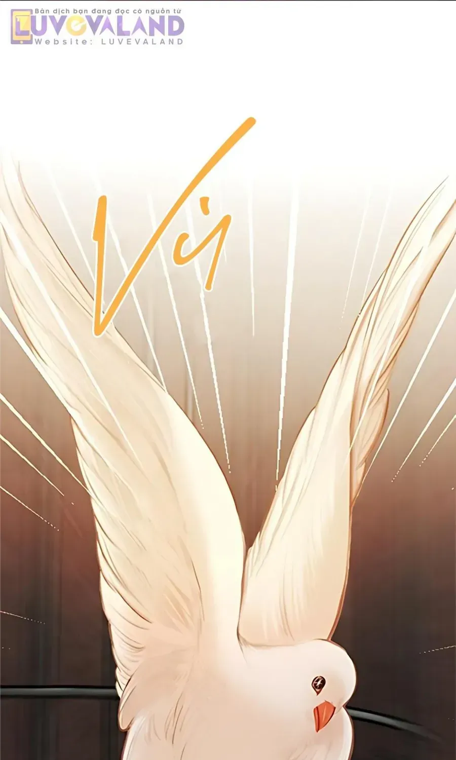 Hãy Khóc Và Cầu Nguyện Đi Chap 73 - Next Chap 74