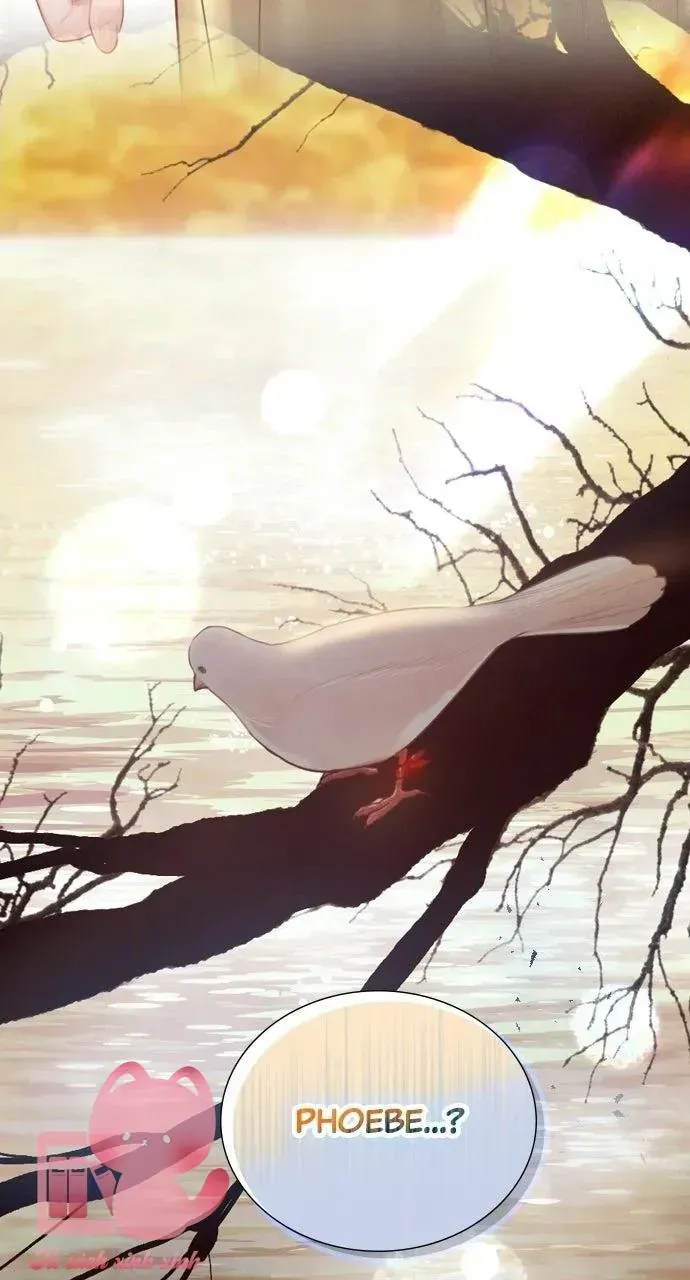 Hãy Khóc Và Cầu Nguyện Đi Chap 73 - Next Chap 74