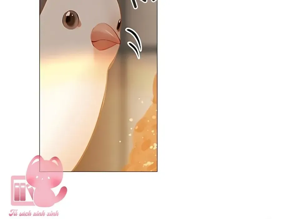 Hãy Khóc Và Cầu Nguyện Đi Chap 73 - Next Chap 74