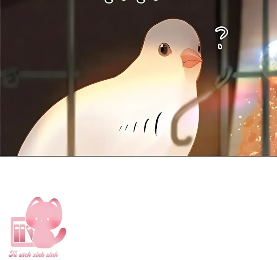 Hãy Khóc Và Cầu Nguyện Đi Chap 73 - Next Chap 74