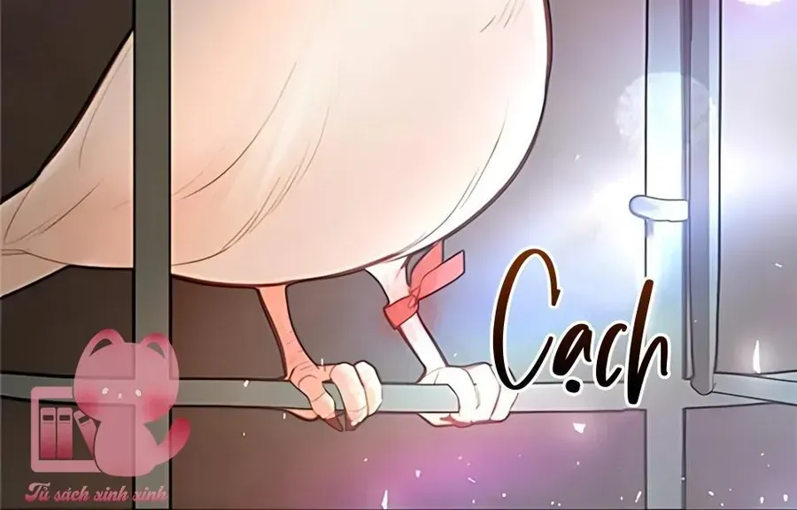 Hãy Khóc Và Cầu Nguyện Đi Chap 73 - Next Chap 74