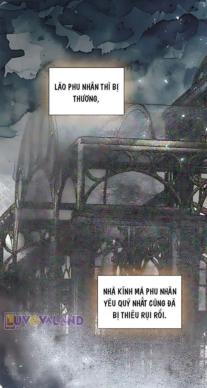 Hãy Khóc Và Cầu Nguyện Đi Chap 86 - Next Chap 87