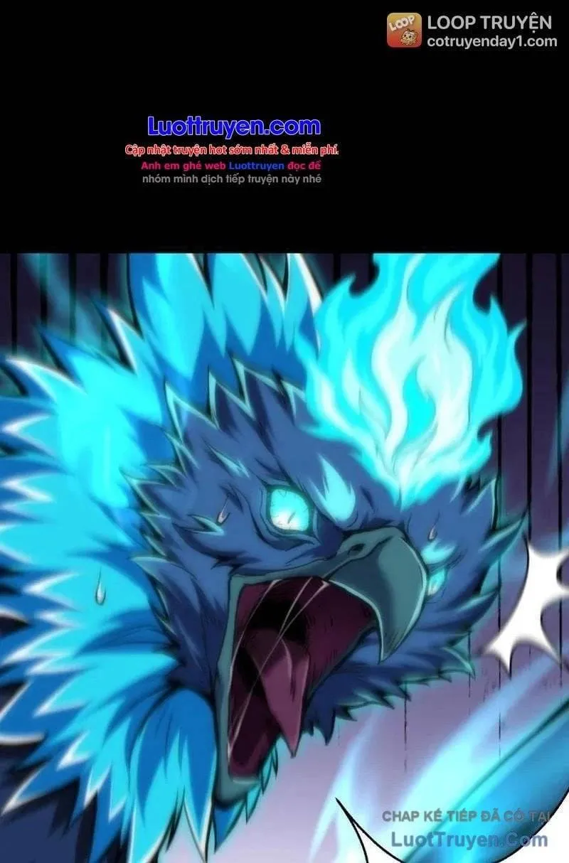 Hệ Thống Nhân Mười Thẻ Này Có Bug Rồi! Chap 6 - Next Chap 7