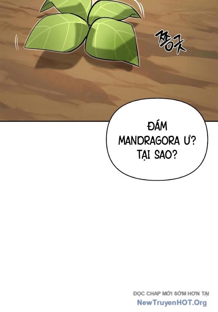 Healer Cấp S Chữa Trị Cho Quái Vật Chap 12 - Next Chap 13