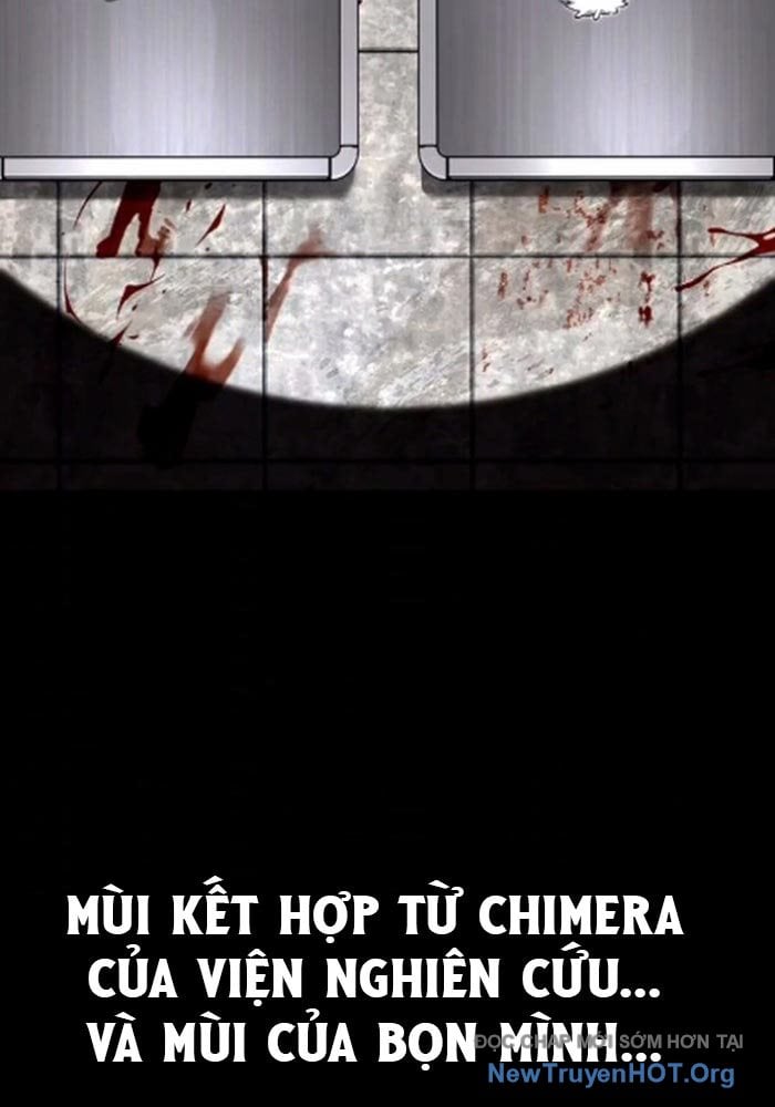 Healer Cấp S Chữa Trị Cho Quái Vật Chap 13 - Next Chap 14