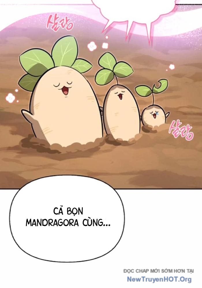 Healer Cấp S Chữa Trị Cho Quái Vật Chap 13 - Next Chap 14