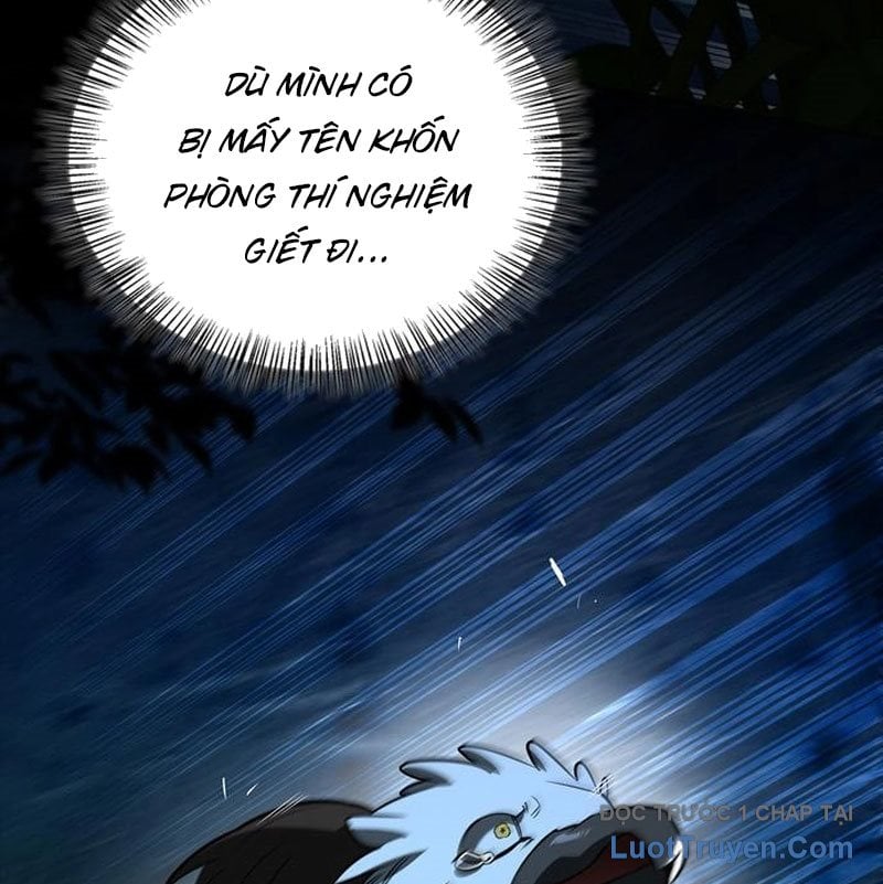 Healer Cấp S Chữa Trị Cho Quái Vật Chap 15 - Next Chap 16