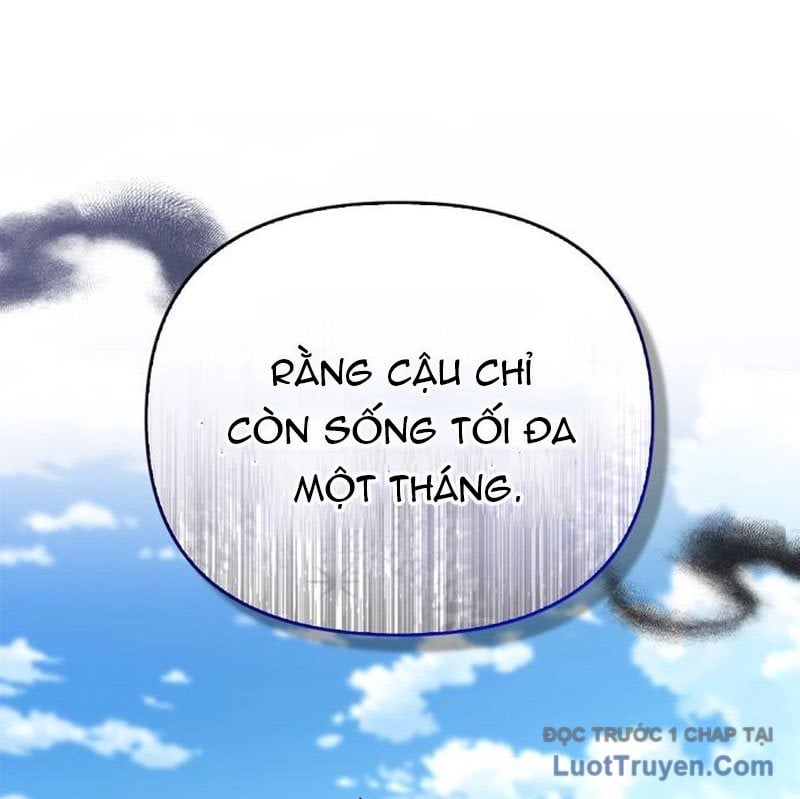 Healer Cấp S Chữa Trị Cho Quái Vật Chap 15 - Next Chap 16