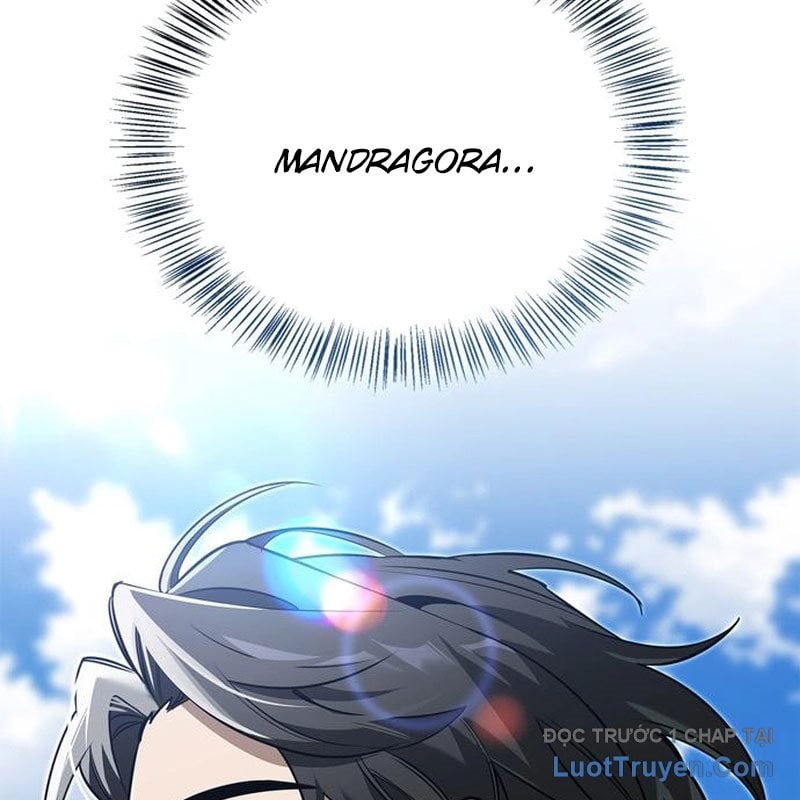 Healer Cấp S Chữa Trị Cho Quái Vật Chap 15 - Next Chap 16