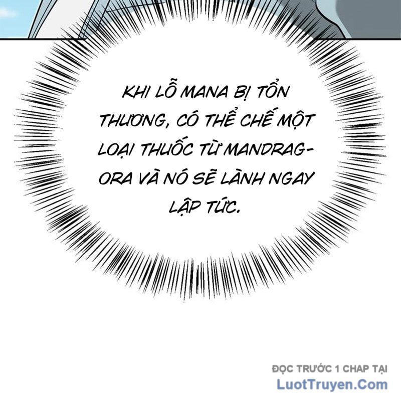 Healer Cấp S Chữa Trị Cho Quái Vật Chap 15 - Next Chap 16