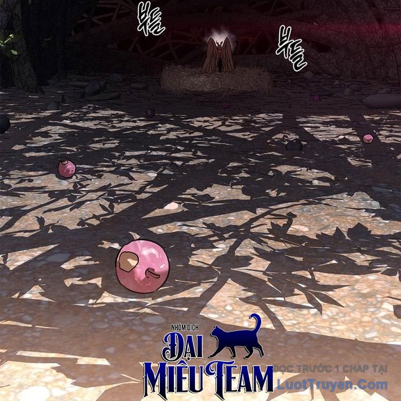 Healer Cấp S Chữa Trị Cho Quái Vật Chap 15 - Next Chap 16