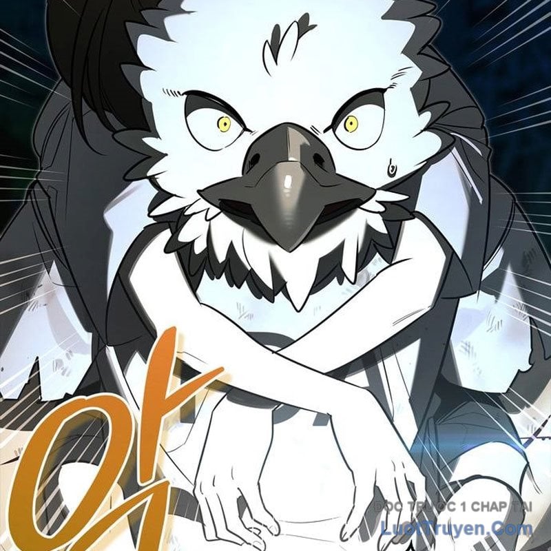 Healer Cấp S Chữa Trị Cho Quái Vật Chap 15 - Next Chap 16