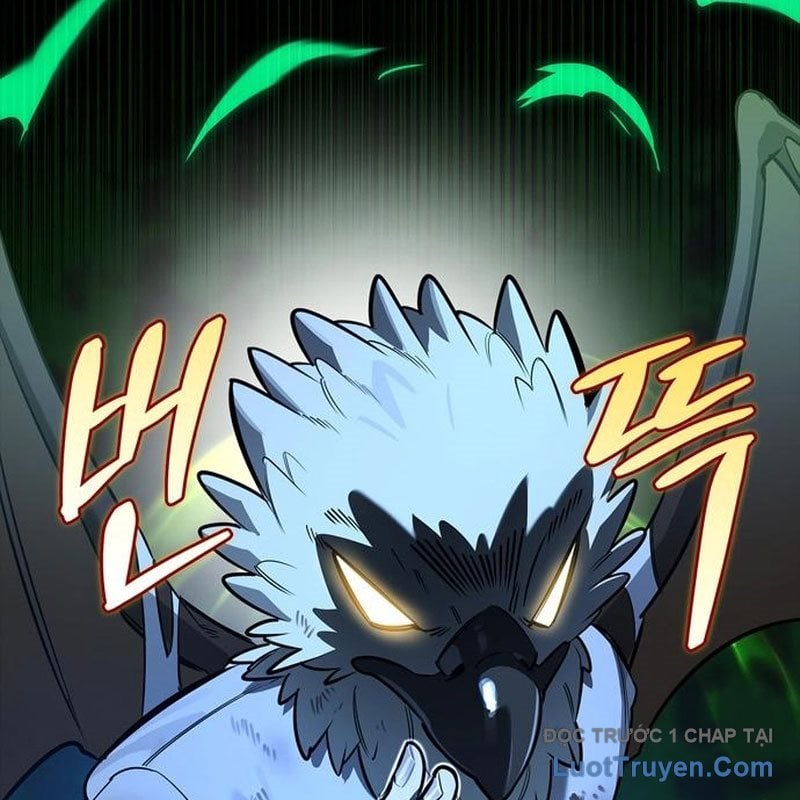 Healer Cấp S Chữa Trị Cho Quái Vật Chap 15 - Next Chap 16