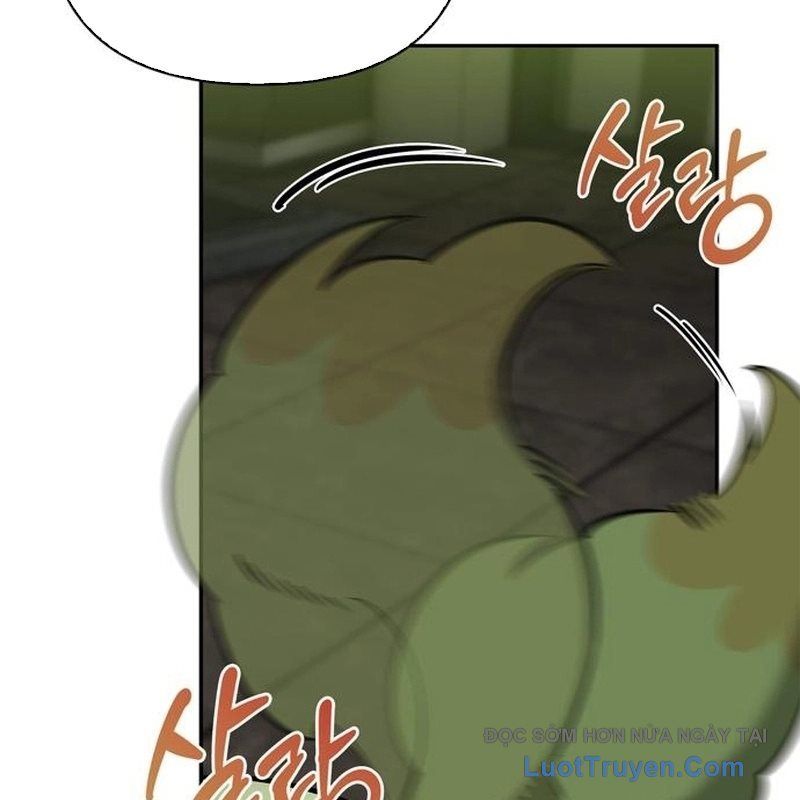 Healer Cấp S Chữa Trị Cho Quái Vật Chap 22 - Next Chap 23
