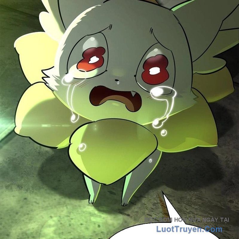 Healer Cấp S Chữa Trị Cho Quái Vật Chap 22 - Next Chap 23