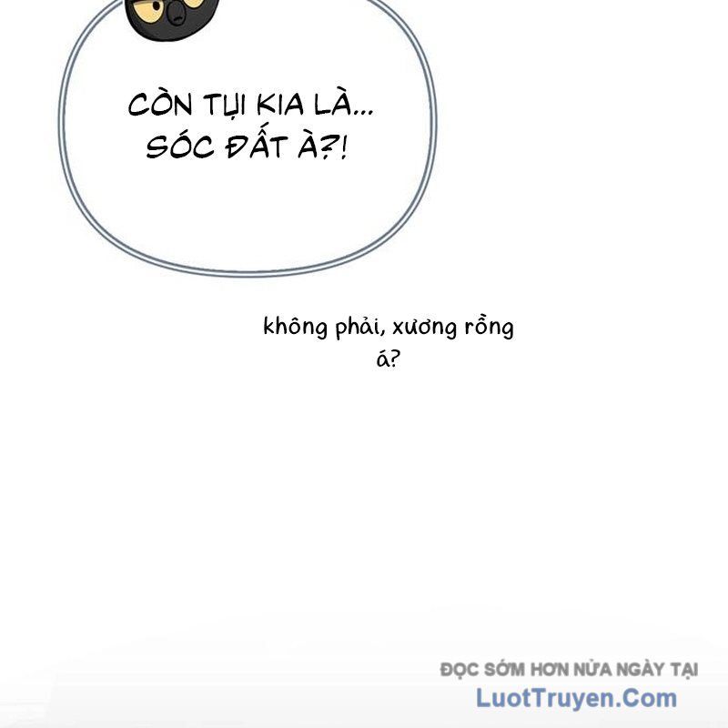 Healer Cấp S Chữa Trị Cho Quái Vật Chap 22 - Next Chap 23