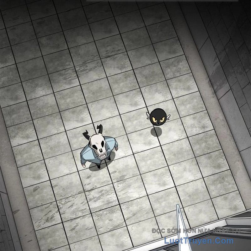 Healer Cấp S Chữa Trị Cho Quái Vật Chap 22 - Next Chap 23