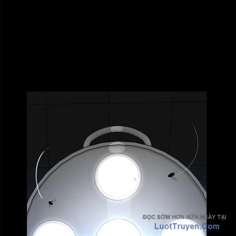 Healer Cấp S Chữa Trị Cho Quái Vật Chap 22 - Next Chap 23