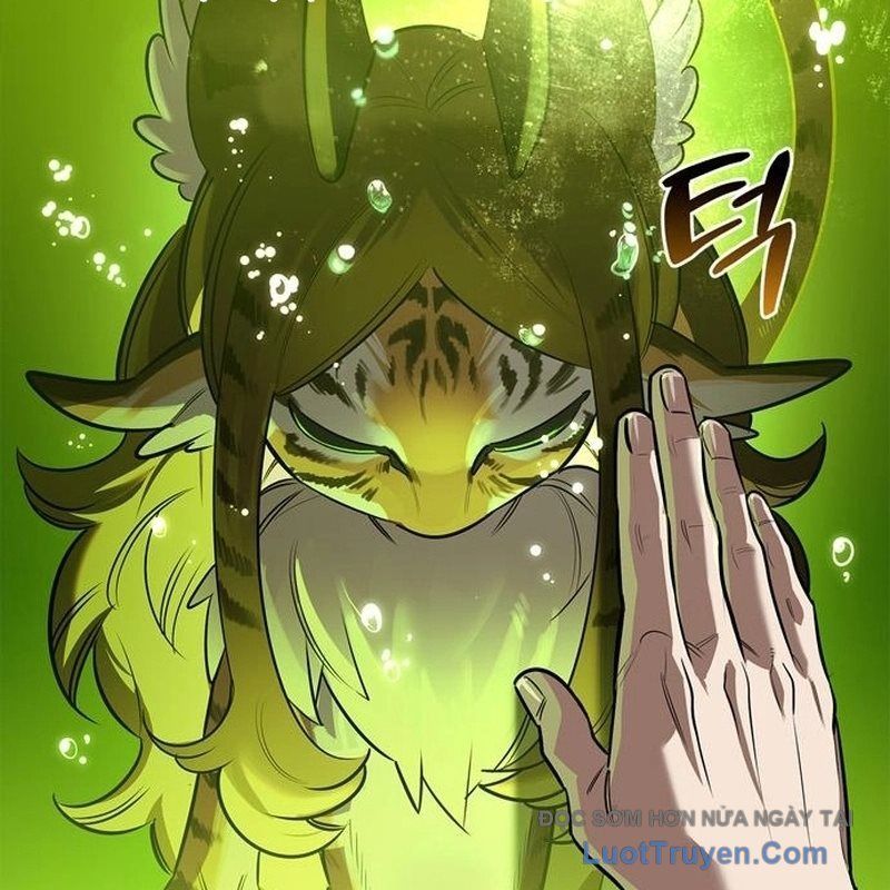Healer Cấp S Chữa Trị Cho Quái Vật Chap 22 - Next Chap 23