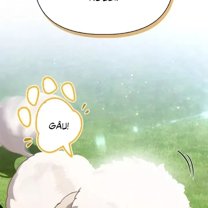 Healer Cấp S Chữa Trị Cho Quái Vật Chap 39 - Next Chap 40