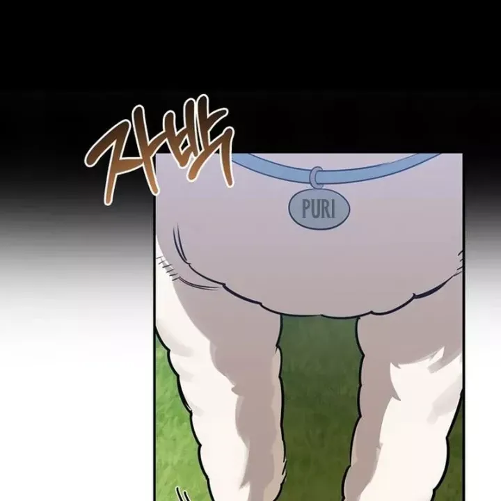 Healer Cấp S Chữa Trị Cho Quái Vật Chap 39 - Next Chap 40