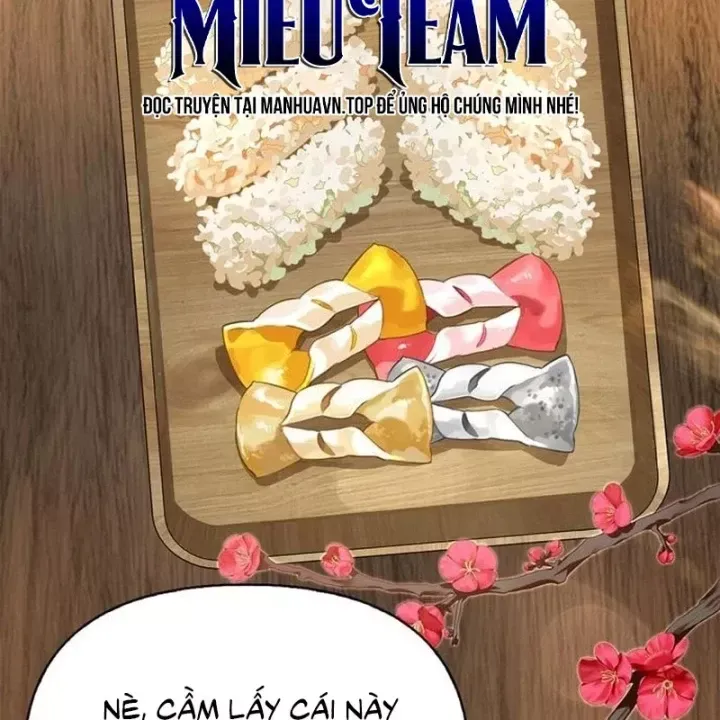 Healer Cấp S Chữa Trị Cho Quái Vật Chap 40 - Next Chap 41